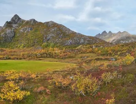 Wildlife Panorama Lofoten Holiday home