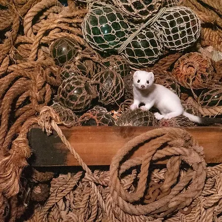 Wildlife Panorama Lofoten Hébergement de vacances