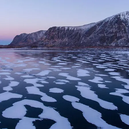 Feriehus Wildlife Panorama Lofoten Bostad