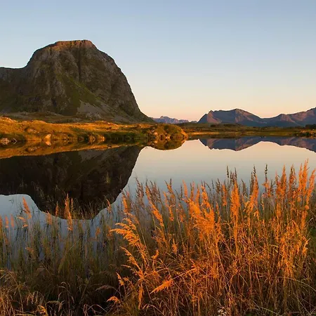 Wildlife Panorama Lofoten