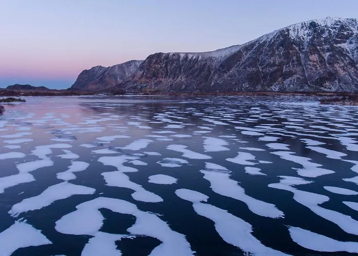 Semesterbostad Wildlife Panorama Lofoten Bostad