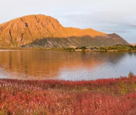 Wildlife Panorama Lofoten *