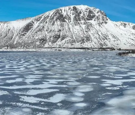 Wildlife Panorama Lofoten 度假居 Bostad