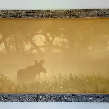 Wildlife Panorama Lofoten 度假居